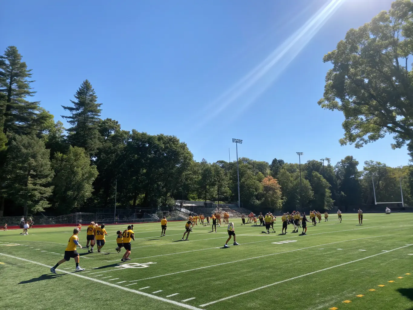 A dynamic image showcasing young athletes participating in a SPORT TEAMS PARTNER training session, focusing on teamwork and skill development.